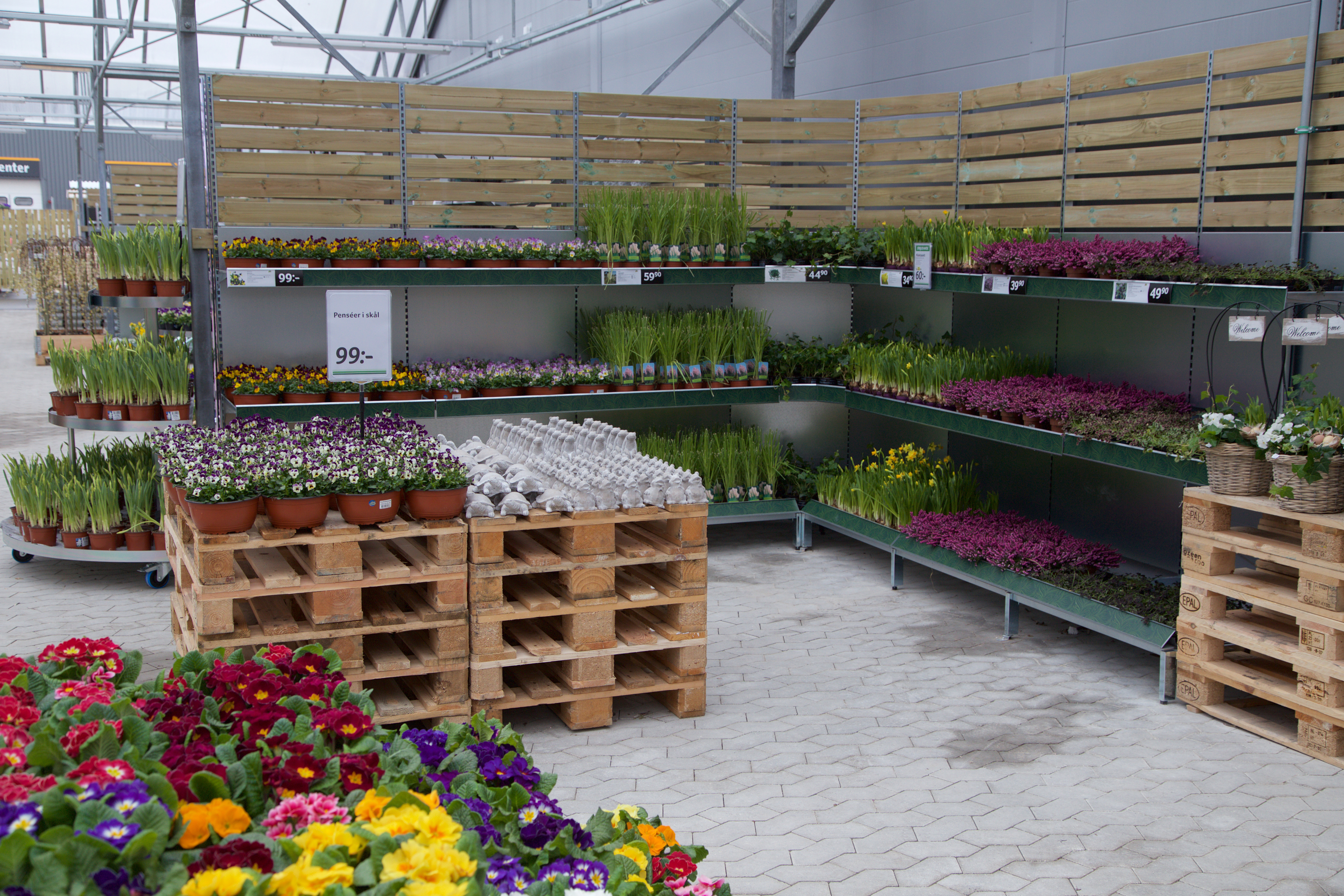 Blomsterlandet-butik-tradgardsmarknad-Lund2019.jpg
