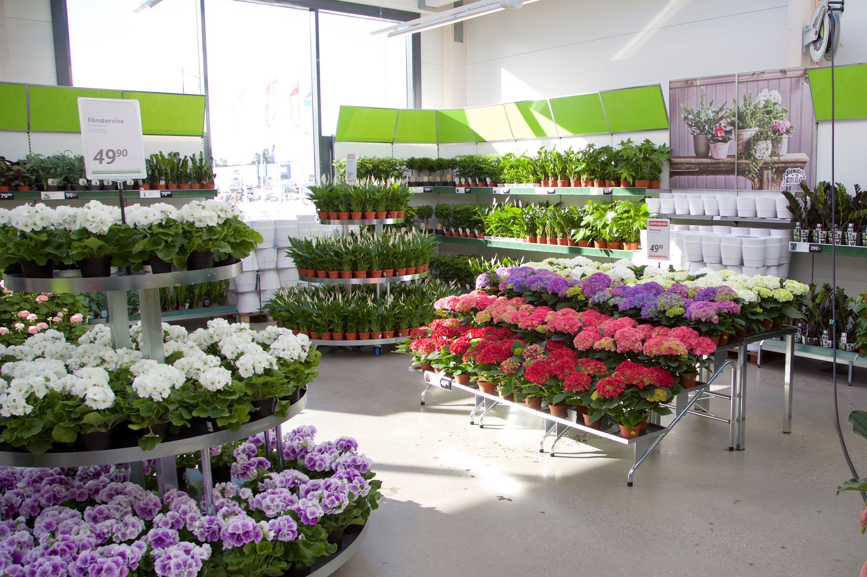 Butik-interior.jpg