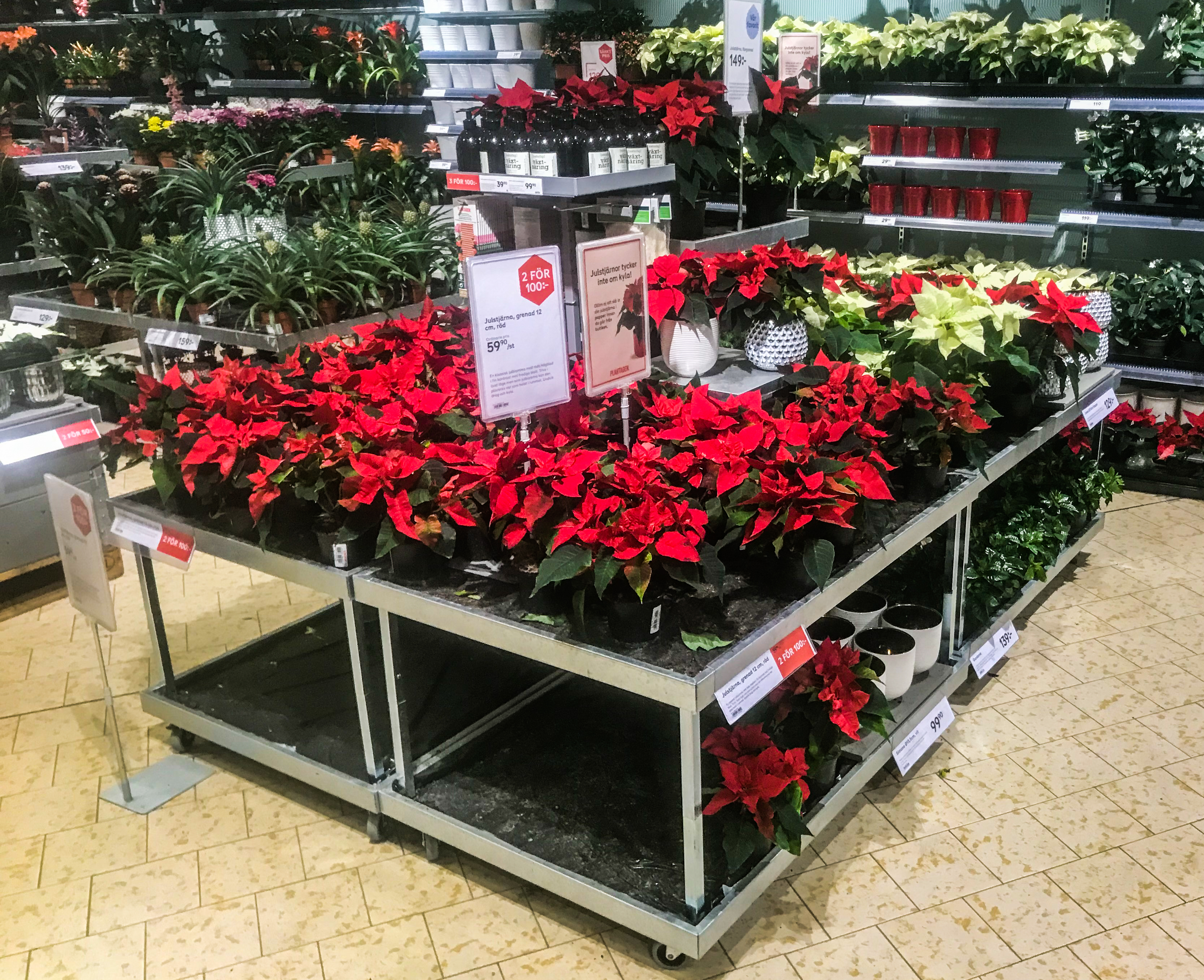 20122018-Plantagen_4904.jpg