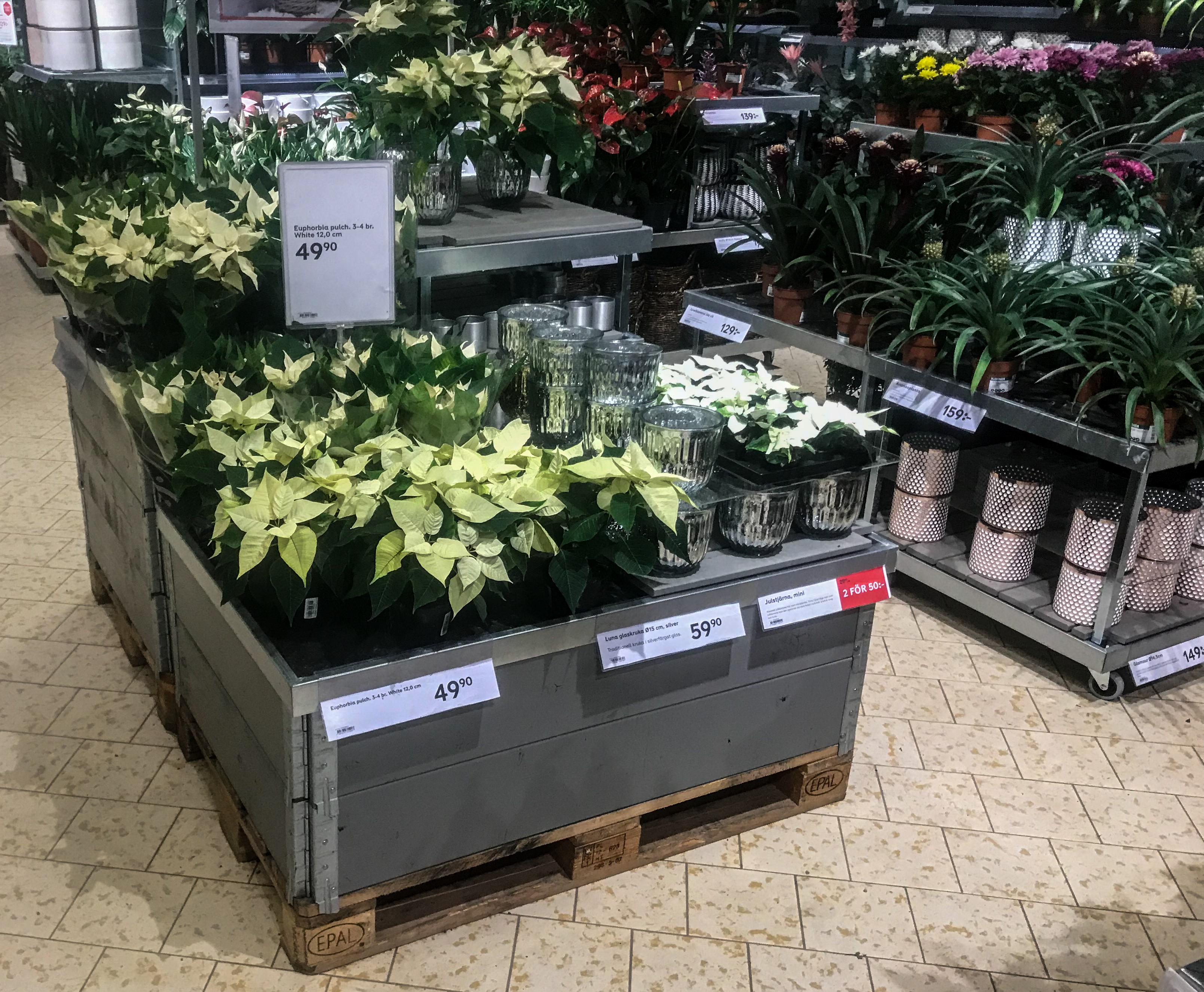 20122018-Plantagen_4905.jpg