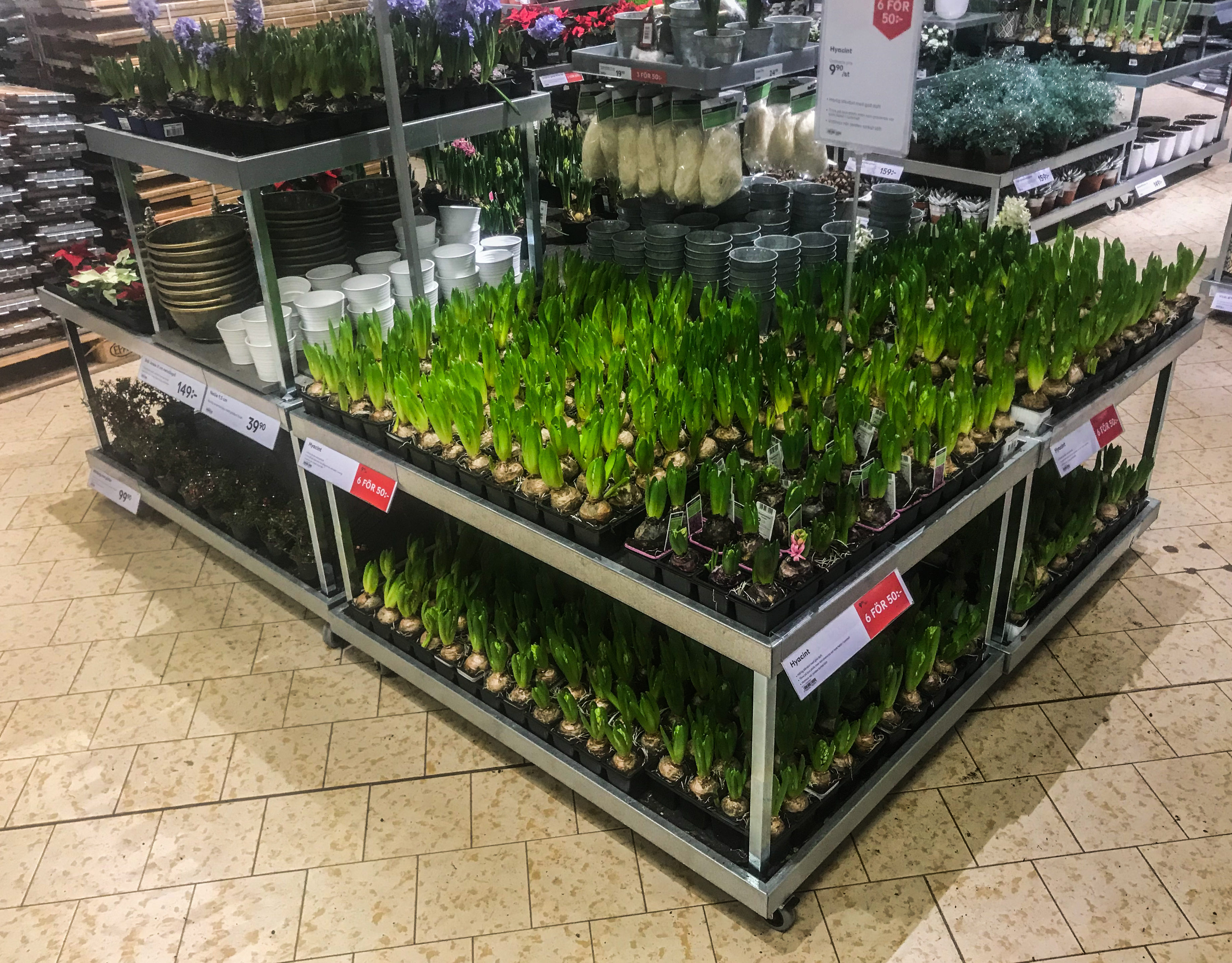 20122018-Plantagen_4915.jpg