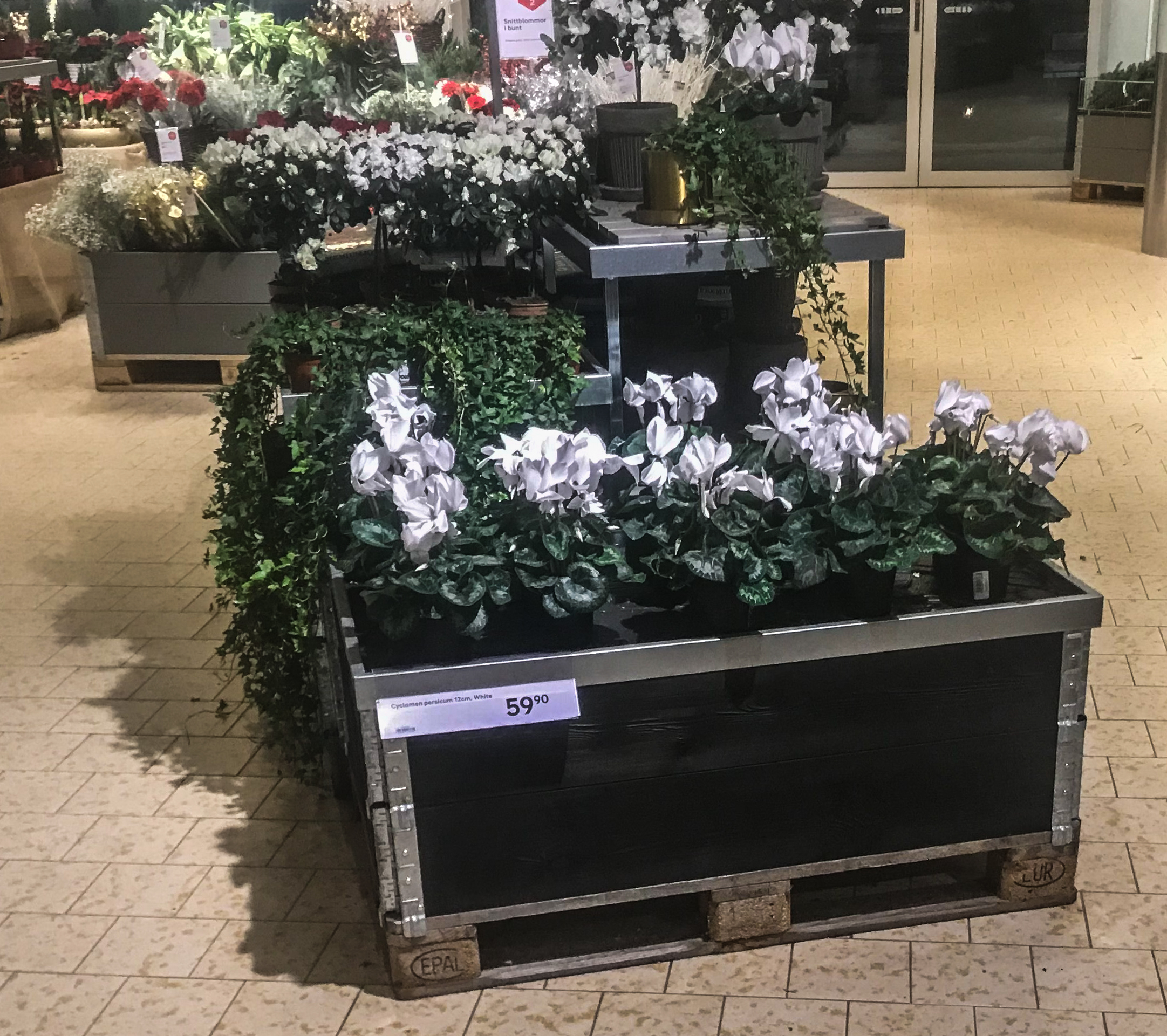 20122018-Plantagen_4918.jpg