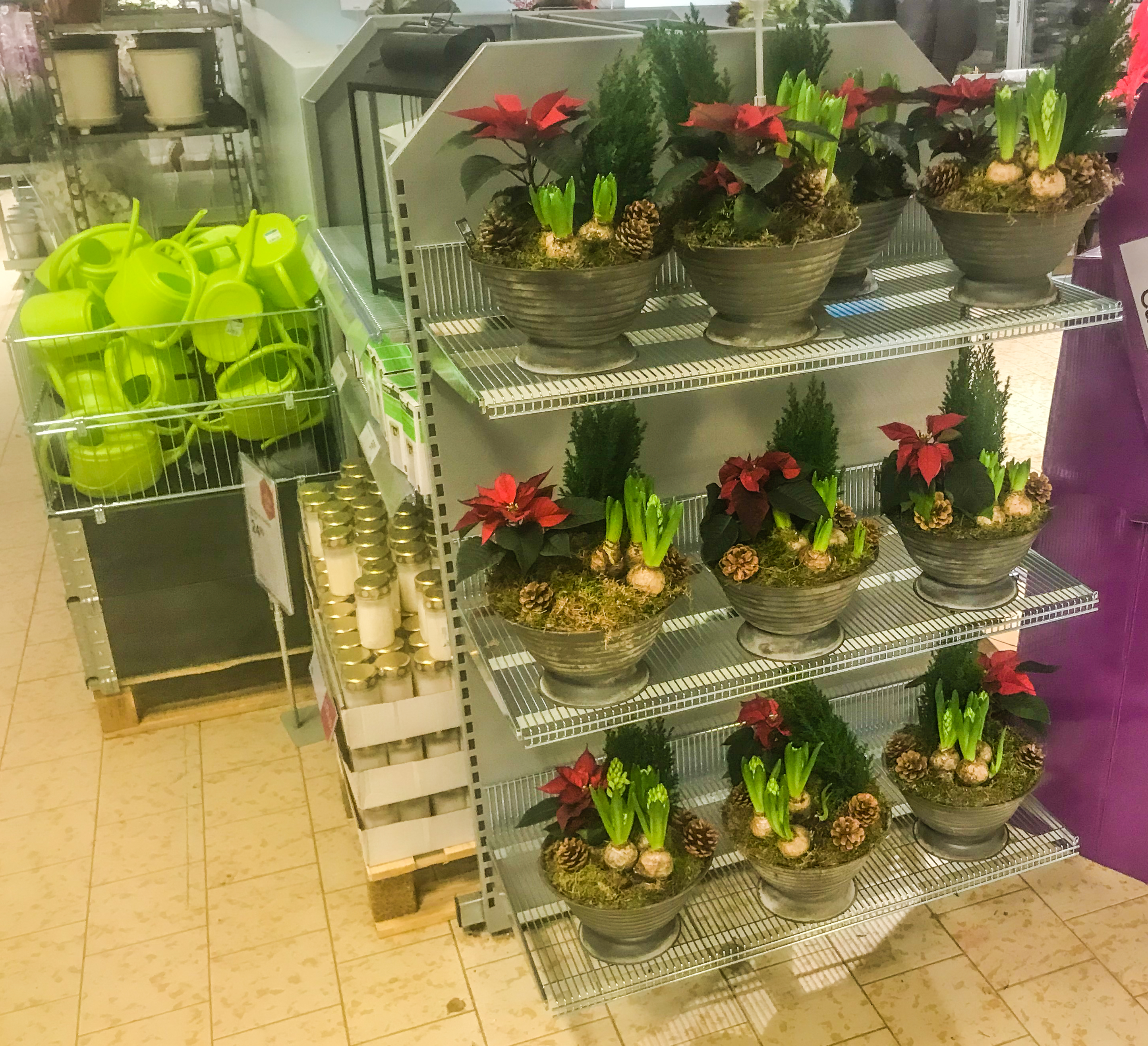 20122018-Plantagen_4927.jpg